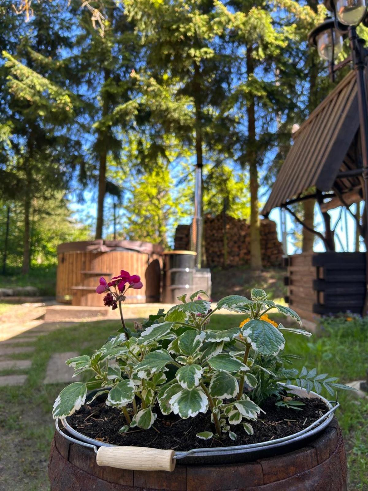 Dobrze Mi Tu-Kikity Apartamento Exterior foto